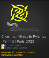 Çıkartma Ninjas in Pyjamas (Parıltılı) | Paris