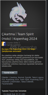 Çıkartma | Team Spirit (Holo) | Kopenhag 2024