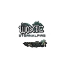 ⚡2X Çıkartma | woxic | Antwerp 2022 ⚡