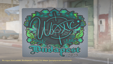 ⭐Çıkartma | woxic | Budapeşte 2025⭐