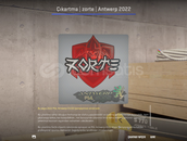 ✨Çıkartma | zorte | Antwerp 2022