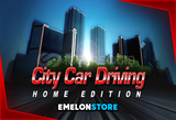 City Car Driving + Garanti