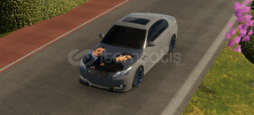 Çizimli e60 airli Çizimli e60 airli