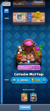 Clash Royale 5600 Kupa muhteşem hesap