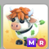 Clover Cow MR