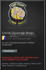 Çocuk Oyuncağı Broşu