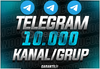 ⭐ÇOK HIZLI⭐ 10.000 TELEGRAM KANAL/GRUP ÜYESİ