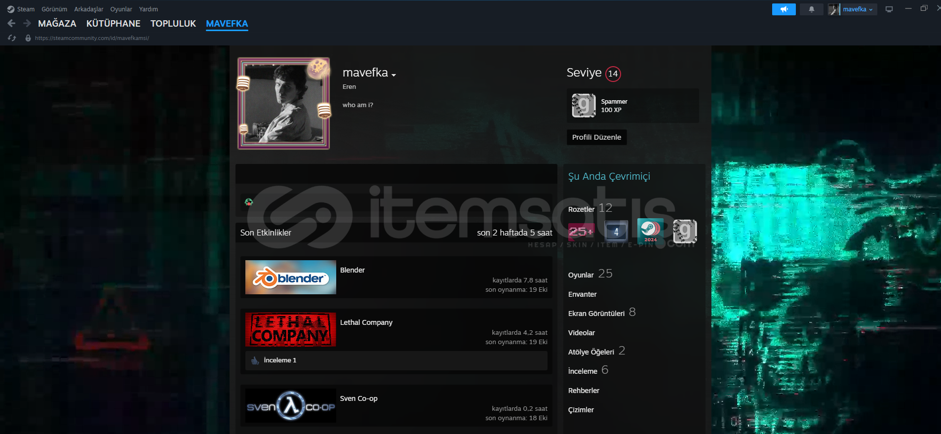 ÇOK UCUZA PAHALI MÜKEMMEL HESAP ÇOK UCUZA PAHALI MÜKEMMEL HESAP