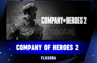 Company Of Heroes 2