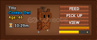 cook owl