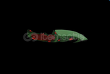 Counter Blox - Gut Holly