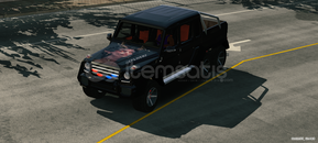 CPM1 kadın çizimli mercedess
