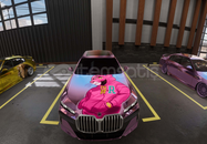 CPM2 - İ7 -Pembe Panter Çizimli