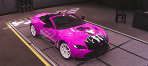 ⭐CPM2 PEMBE PANTER ÇİZİMLİ ASTON⭐