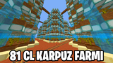 ✨[CR AMETİST]✨ ✅[81CL KARPUZ FARM + SP YERİ]✅