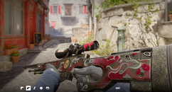 CRAFTLI CHARMLI AWP | İkililik