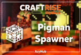 Craftrise SkyBlock 1x Pigman Spawner
