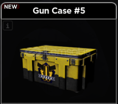 Criminality / Gun Case #5 Criminality / Gun Case #5
