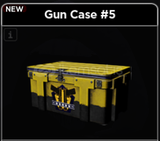 Criminality / Gun Case #5