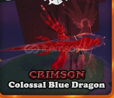 Crimson Colossal Blue Dragon Fisch Crimson Colossal Blue Dragon Fisch