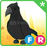 Crow Adopt Me
