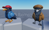 Crow & Dove | Özel UGC Tasarımı