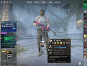 CS 2 BİREYSEL HESAP 600 DOLARLIK ENVANTER