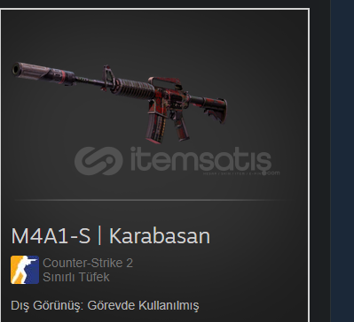CS 2 M4A1-S | Karabasan CS 2 M4A1-S | Karabasan