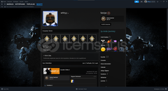 Cs primeli steam hesap orta bütçeli Cs primeli steam hesap orta bütçeli