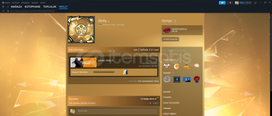 CS2 20K ELO 2 MADALYALI HESAP 