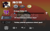 CS2 3 MADALYA PRİE HESAP +155 SAAT