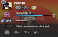 CS2 3 MADALYALI PRİME HESAP