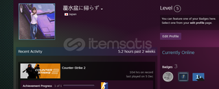 CS2 5 YILLIK MADALYALI D2 DMG SATILIK HESAP