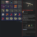 CS2 AK-47 HeadShot SKİN