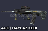 ⭐️[CS2] AUG HAYLAZ KEDİ {EN SEVİLEN}