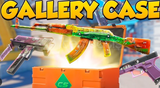 CS2 Gallery Case