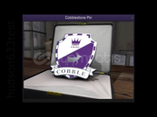 ⚡ Cobblestone Pin⚡ HIZLI TESLİMAT⚡