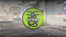 ⚡ CS2 Hydra Pin⚡ HIZLI TESLİMAT⚡