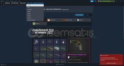 CS2 Kendi kullandığım hesap