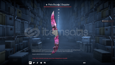 CS2 PALA BIÇAĞI DOPPLER ALINNIR 