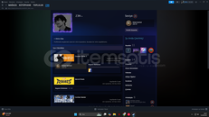 CS2 PRİME HESAP 8 MADALYA