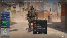 CS2 PRİME TEMİZ HESAP 