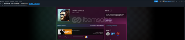 CS2 SEÇKİN VE 6 DOLAR BAKİYE