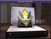 ⚡ CS2 Victory Pin⚡ HIZLI TESLİMAT⚡