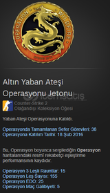 CS2 WILDFIRE GOLD COIN BADGE Lİ HESAP