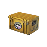 CS2 Yılan kasası(Recoil Case)
