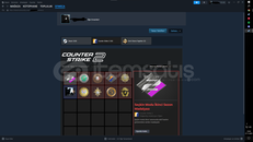 CSGO 9 ROZET +25OYUN DOLU DOLU