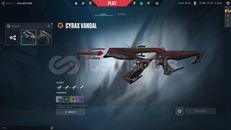 Cyrax Vandal | TR | Dereceli Giriyor