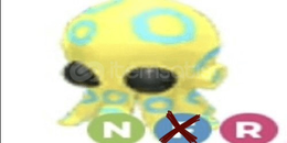 Nr Blue Ringed Octopus+N kid goat+N Muskrat