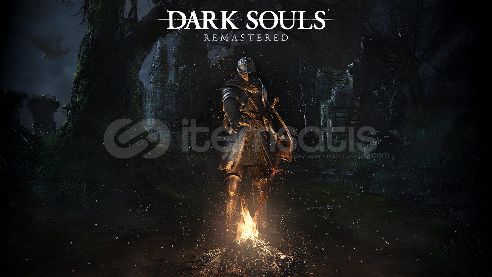 DARK SOULS REMASTERED + Garanti DARK SOULS REMASTERED + Garanti